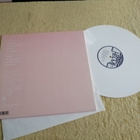 SPIGU - Viimeinen papukaija LP - pikkukuva 2
