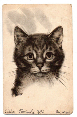Vanha kortti, ARTKO172/10, kissa
