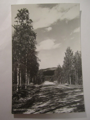 Postikortti Lappi Levitunturi 1950-l Alkup.Mallikappale