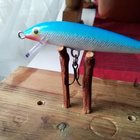 Rapala Floating 6cm - pikkukuva 1