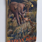 H. Rider Haggard : Maiwan kosto - pikkukuva 1