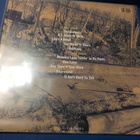 NAS - ILLMATIC M-/M- EU 2006 REPRESS LP - pikkukuva 2