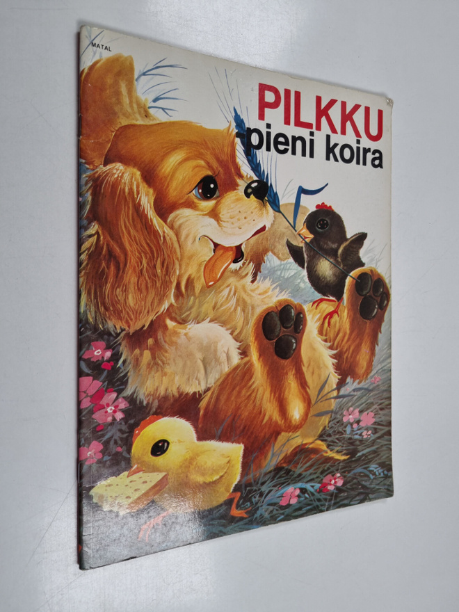 Pilkku - pieni koira