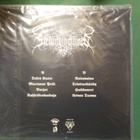 SIELUNVIHOLLINEN - TELOITUSKÄSKY UUSI LP - pikkukuva 2