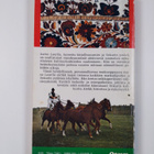 Aarne Laurila : Matkailijan Unkari ja madjaarien maa - pikkukuva 2