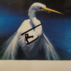 FAITH NO MORE - ANGEL DUST CD + MIKE PATTON NIMMARI - pikkukuva 2