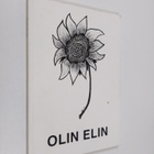 Olin elin : Räisälän kansanopiston kirjoittajalinjan eli ... - pikkukuva 1