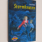 Celia Rees : Stormknuten - pikkukuva 1