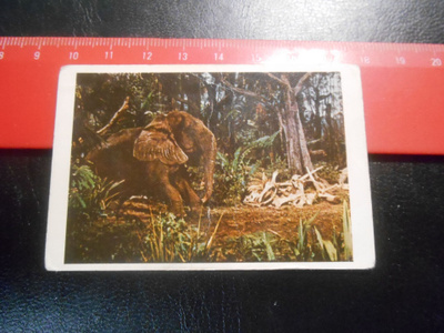 K.6 Jenkki Tarzan purkkakuva # 115