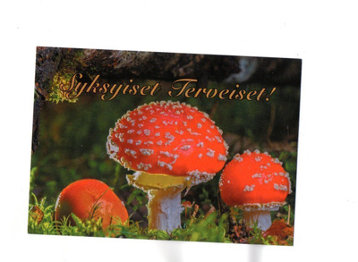 °°SYKSYISET TERVEISET!°° -KORTTI