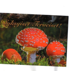 °°Kärpässienet...SYKSYISET TERVEISET!°° -KORTTI - pikkukuva 1