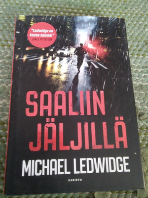 Michael Ledwidge: Saaliin jäljillä
