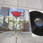 Rose Royce – Stronger Than Ever - pikkukuva 1