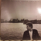 Bryan Adams LP 1987 Into The Fire - pikkukuva 1