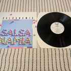 Salsanamia - Salsanamia (IKALP-002) - pikkukuva 1