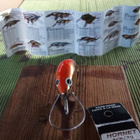 Salmo  Hornet Sinking H4S  4cm GMO - pikkukuva 3
