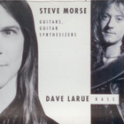 Steve Morse Band: Southern Steel (MCA 1991) - pikkukuva 3