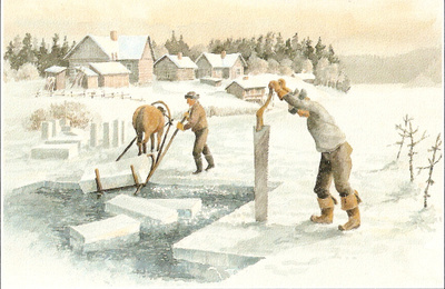 Pälikkö KP 1247 :  JÄITÄ KESÄKSI. ei kulk.
