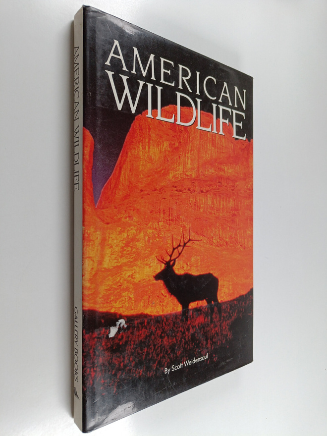 Scott Weidensaul : American Wildlife