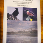 Malgolm Ogilvie : THE BIRDS OF ISLAY - pikkukuva 1