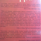 Saara Finni - Suruvaippa Kirja - pikkukuva 3