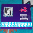 WOODCOCKS ~ s/t ~ LP Rich Hopkins - pikkukuva 1