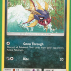 Pokémon Carvanha - pikkukuva 1
