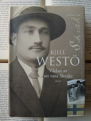 Kjell Westö - Vådan av att vara Skrake: roman (inbunden)