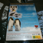 PINGVIINIEN MATKA - DVD - pikkukuva 2
