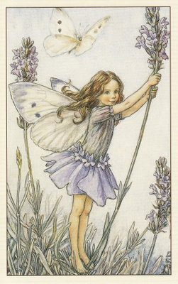 Cicely Mary Barker: Kukkakeijut laventeli