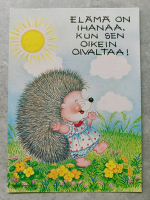Marleena Ansio