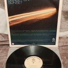 Tina Turner Sunset On Sunset lp - pikkukuva 2