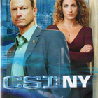 Csi:Ny Kausi 2 (6 dvd = 24 jaksoa = 993min(14156) - pikkukuva 3