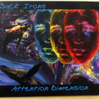 JACK IRONS Attention Dimension CD 2004 Pearl Jam PRIMUS - pikkukuva 1