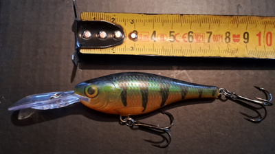 Rapala shad rap!