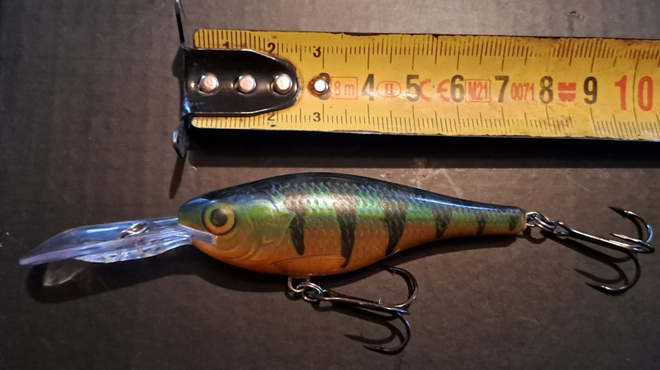 Rapala shad rap!