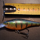 Rapala shad rap! - pikkukuva 1