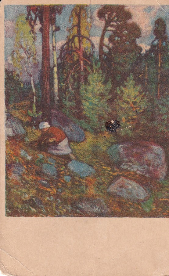 Puolukassa, V. Hämäläinen  Kolektado  de vakcinio    b593