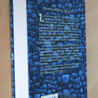 Brandon Mull : Iltatähden kilta Myyttihovi 2 ( 1.p. 2010 ) - pikkukuva 2