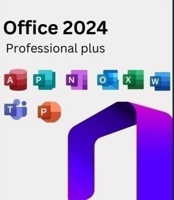 Microsoft Office 2024 Professional Plus