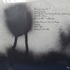 CARLA BOZULICH - EVANGELISTA - CAN 2006 INSERT M-/M LP - pikkukuva 2