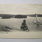 VANHA Postikortti Porvoo Pellinki HUIPPUKUNTO ennen-1905 - pikkukuva 1