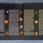 The Live Adventures Of MIKE BLOOMFIELD & AL KOOPER LP - pikkukuva 3