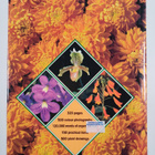 William Davidson : The Illustrated Directory of House Pla... - pikkukuva 2