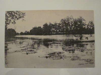 VANHA Postikortti Eesti Viro Kulla 1900-luku