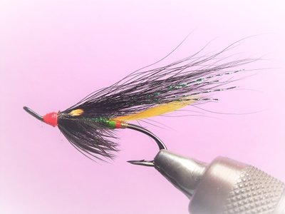 Lohiperho Overtaker # 6 d Wilson