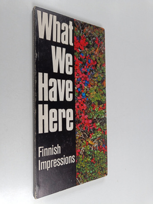 Erik Bruun : What we have here : Finnish impressions