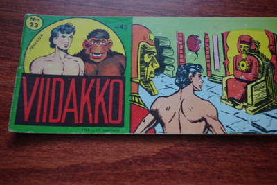 Viidakko 23 /1965