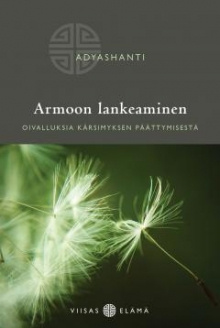 Adyashanti - Armoon lankeaminen