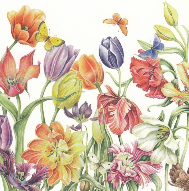 J. Brinkman-Salentijn: Värikkäät tulppaanit (taittokortti)